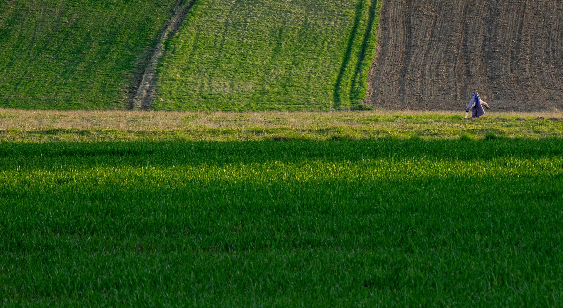 slider_02